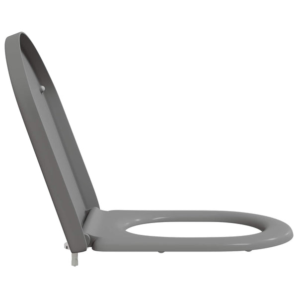 Grauer Toilettensitz Duroplast