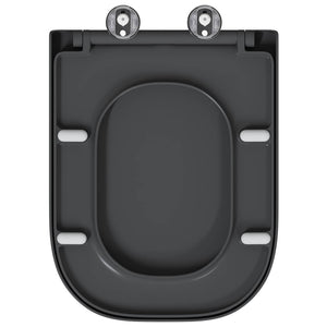 Anthrazit Toilettensitz Duroplast