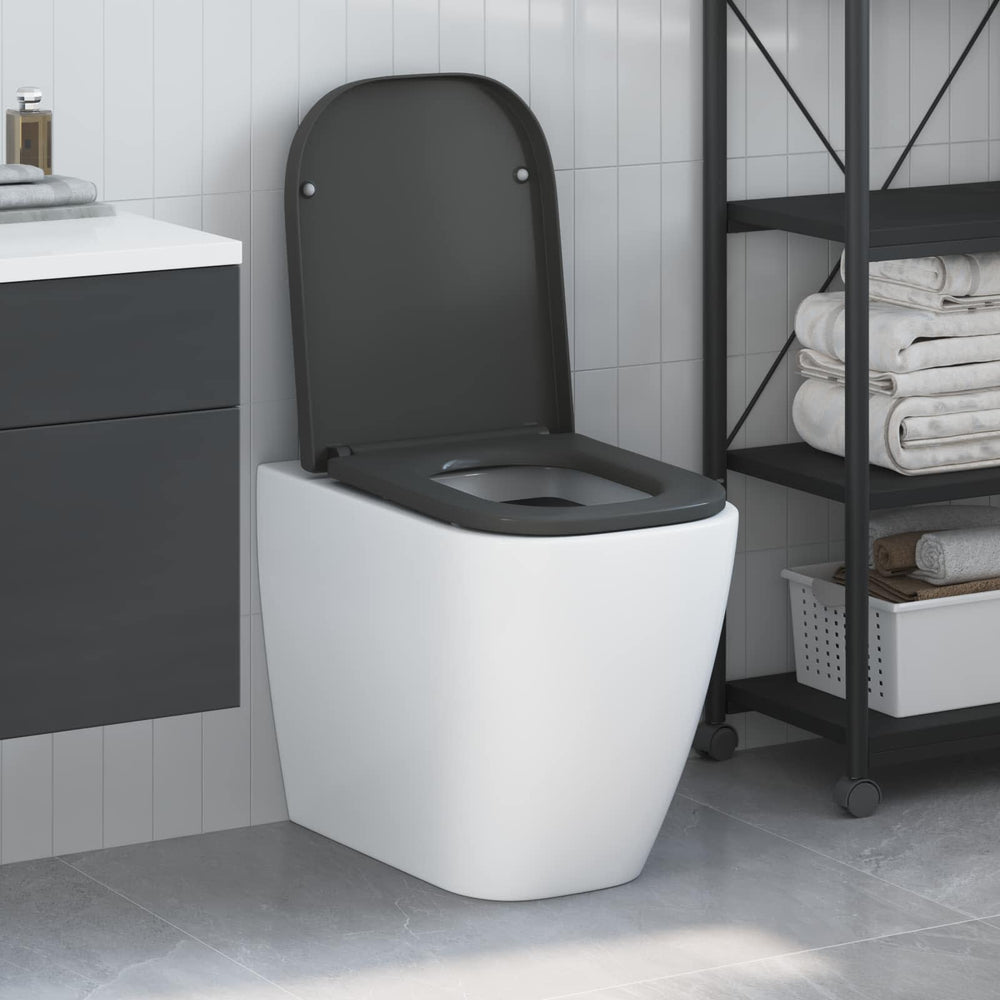 Anthrazit Toilettensitz Duroplast