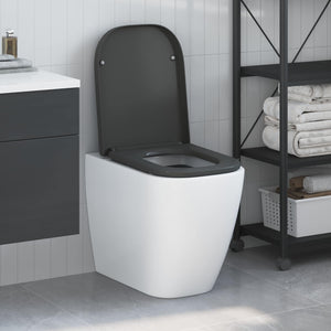 Anthrazit Toilettensitz Duroplast