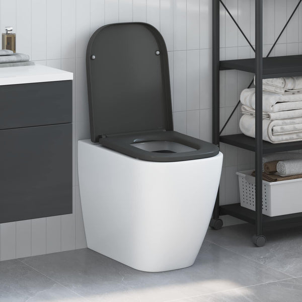 Anthrazit Toilettensitz Duroplast