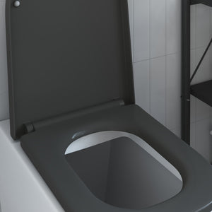 Anthrazit Toilettensitz Duroplast