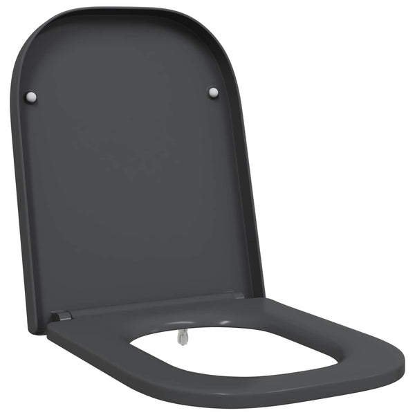 Anthrazit Toilettensitz Duroplast