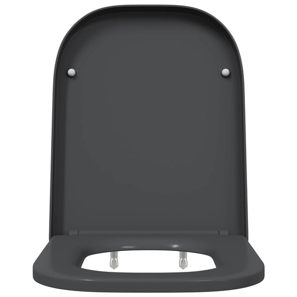 Anthrazit Toilettensitz Duroplast