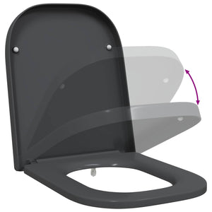 Anthrazit Toilettensitz Duroplast