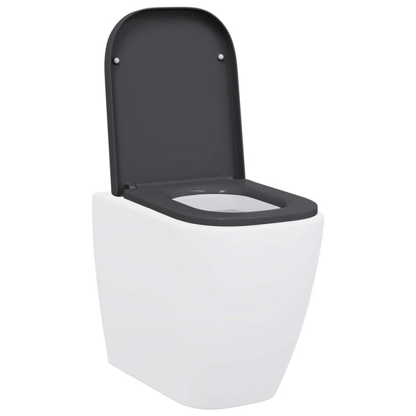 Anthrazit Toilettensitz Duroplast
