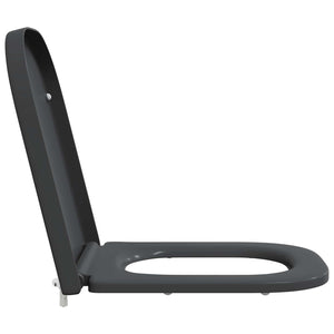 Anthrazit Toilettensitz Duroplast