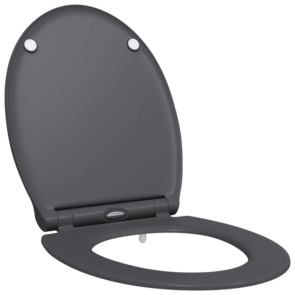 Anthrazit Toilettensitz Duroplast 47x37,5 cm