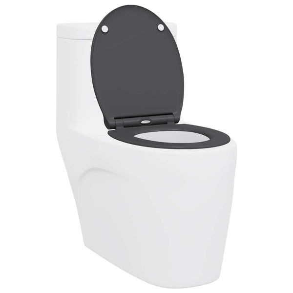 Anthrazit Toilettensitz Duroplast 47x37,5 cm