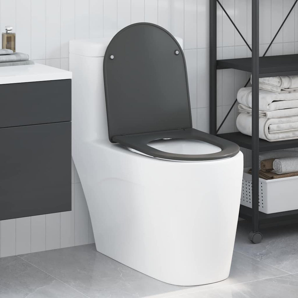 Anthrazit Toilettensitz Duroplast