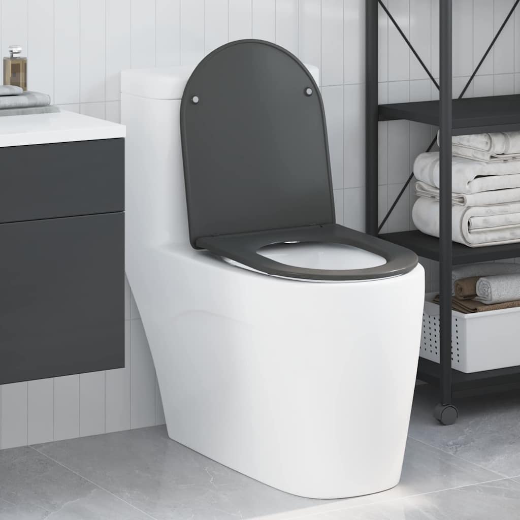Anthrazit Toilettensitz Duroplast