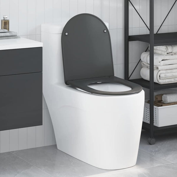 Anthrazit Toilettensitz Duroplast