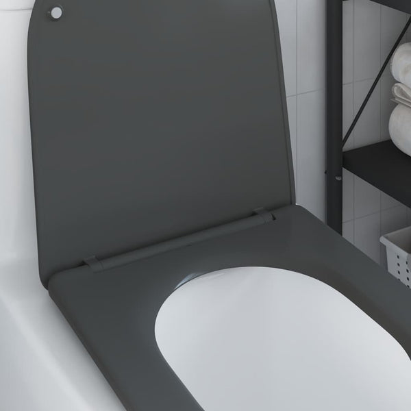 Anthrazit Toilettensitz Duroplast