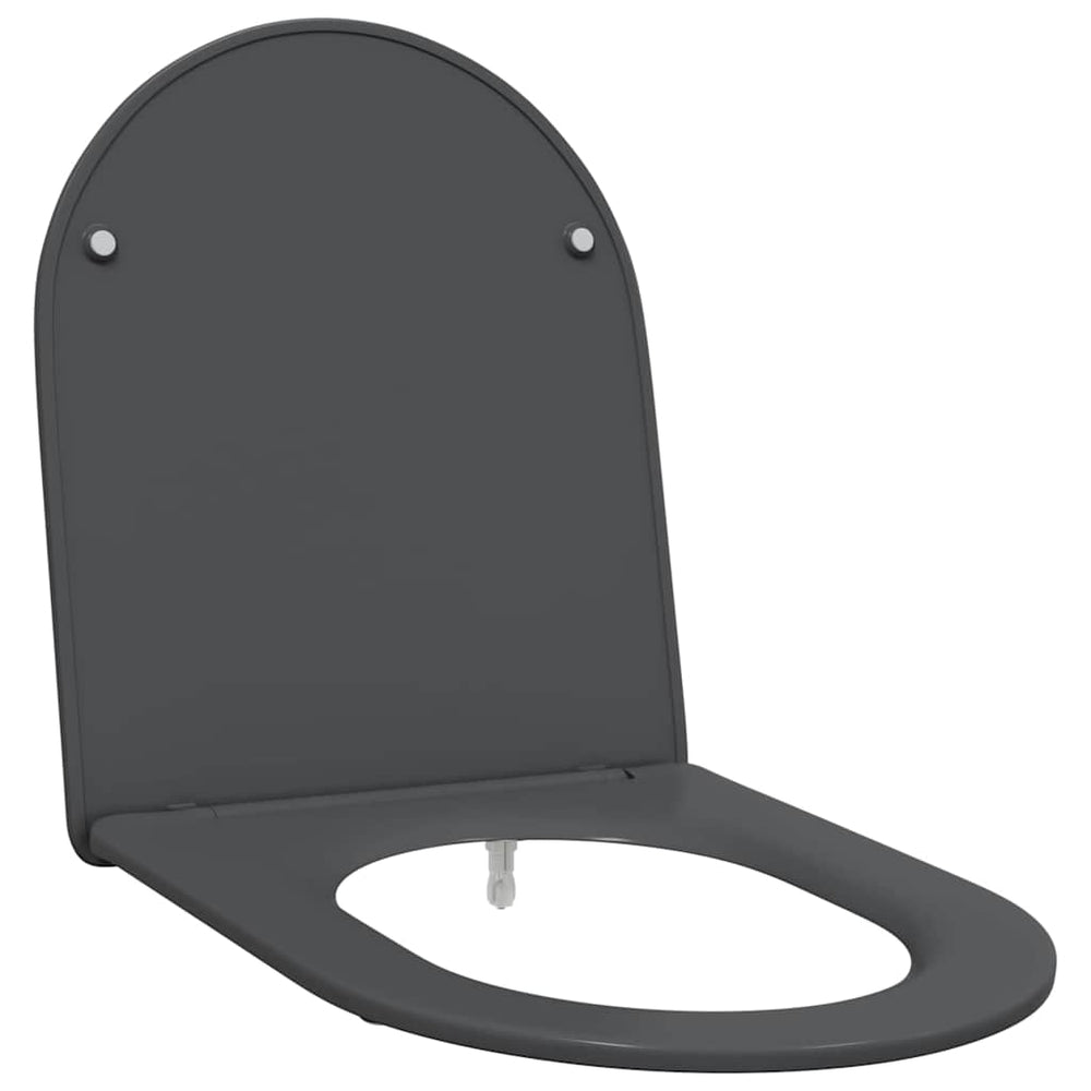 Anthrazit Toilettensitz Duroplast