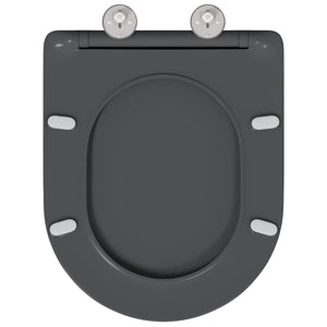 Anthrazit Toilettensitz Duroplast
