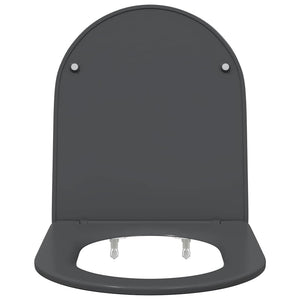 Anthrazit Toilettensitz Duroplast
