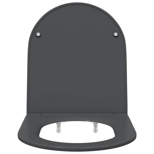 Anthrazit Toilettensitz Duroplast
