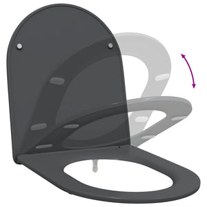 Anthrazit Toilettensitz Duroplast