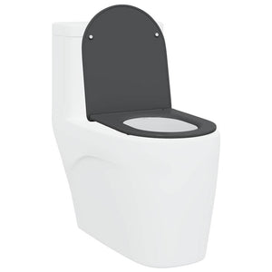 Anthrazit Toilettensitz Duroplast