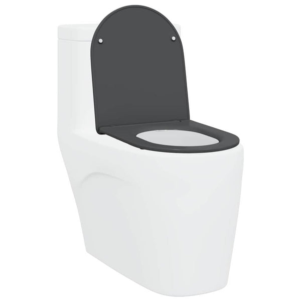 Anthrazit Toilettensitz Duroplast