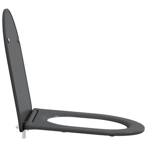 Anthrazit Toilettensitz Duroplast