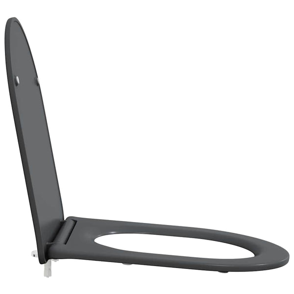 Anthrazit Toilettensitz Duroplast