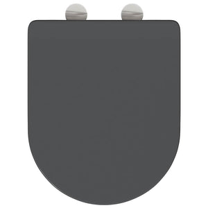 Anthrazit Toilettensitz Duroplast