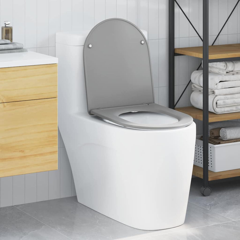 Grauer Toilettensitz Duroplast