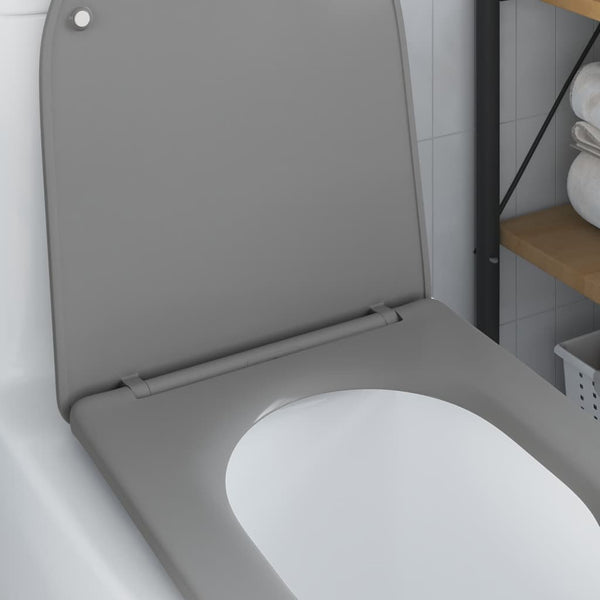 Grauer Toilettensitz Duroplast