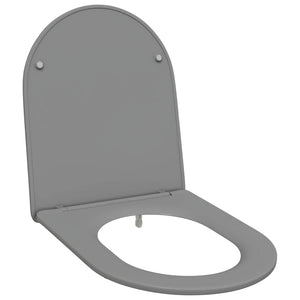 Grauer Toilettensitz Duroplast
