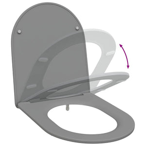 Grauer Toilettensitz Duroplast