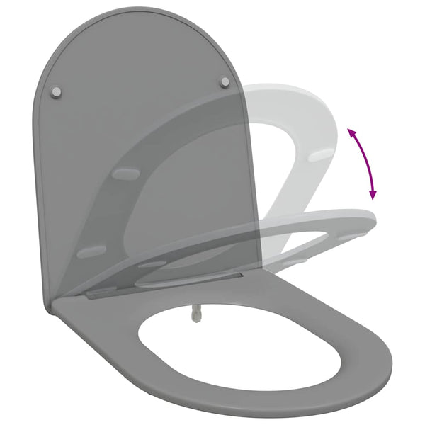 Grauer Toilettensitz Duroplast