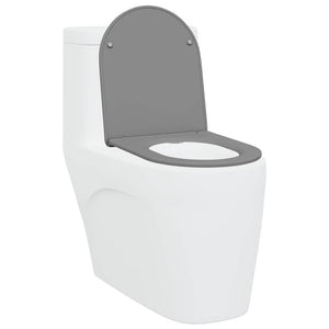 Grauer Toilettensitz Duroplast