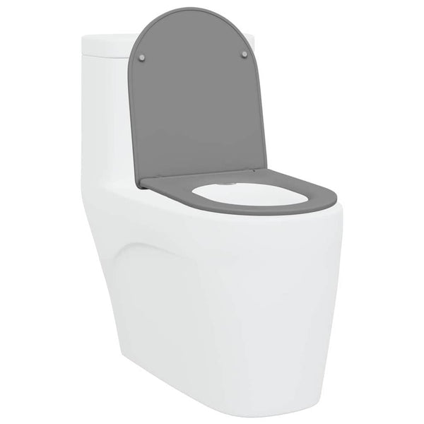 Grauer Toilettensitz Duroplast