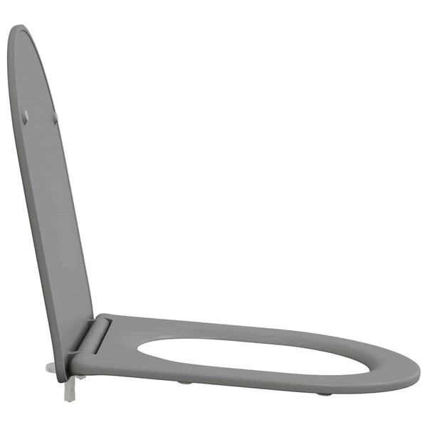 Grauer Toilettensitz Duroplast