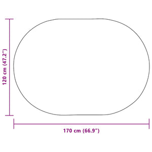Creme Teppich ZIZUR 170x120 cm