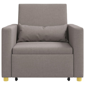 Ausziehbare Schlafcouch Taupe Einzel