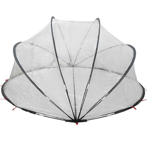 Pool Dome Transparent