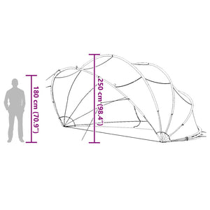 Pool Dome Transparent 546x516x250cm