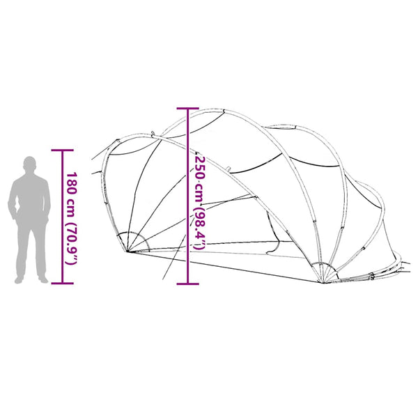 Pool Dome Transparent 546x516x250cm
