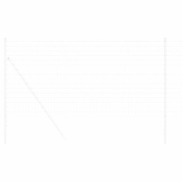 Eurozaun 1x25 m PVC-beschichtetes Eisen