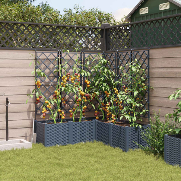 Garten Pflanzgefäß 5er Set Grau