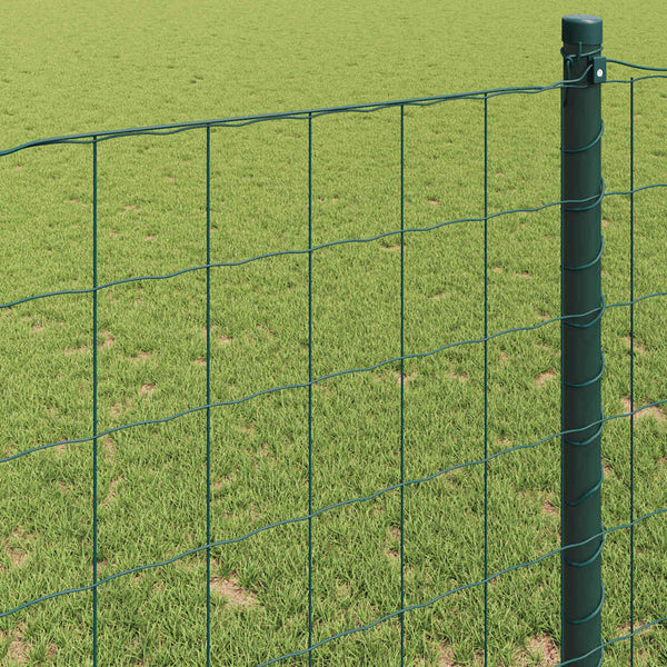 Eurozaun Grün 0,8 x 25 m