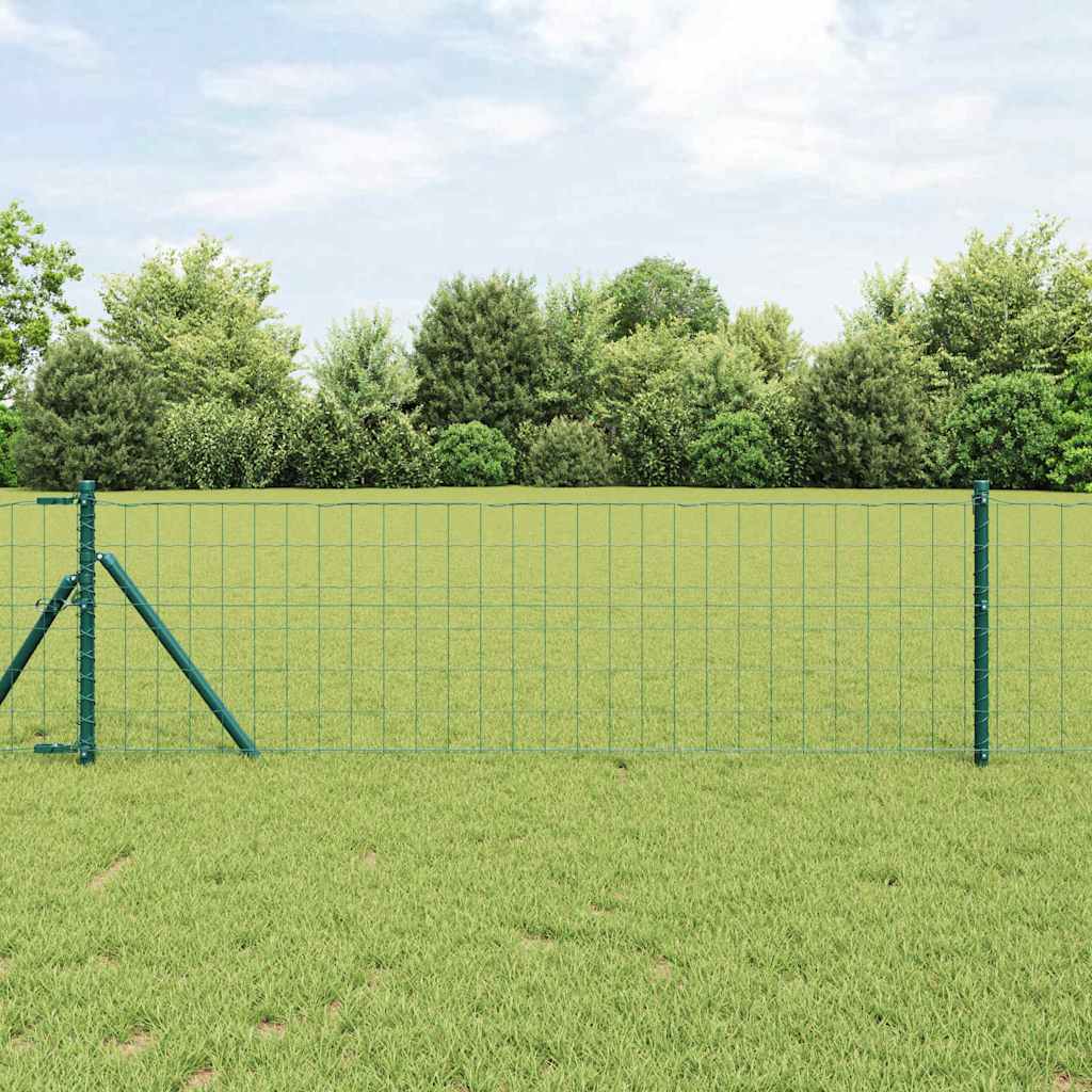Eurozaun Grün 0,8 x 25 m