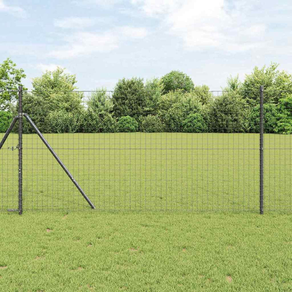 Grauer Eurozaun 1,2 x 25 m