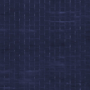 Blaues Partyzelt 8x4m