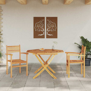 Teak Stühle 2er Set Braun