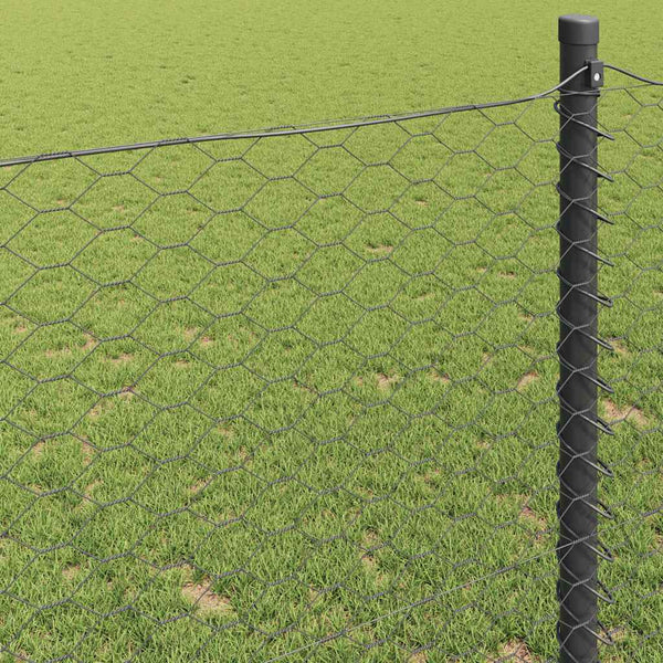 Hexagonzaun Grau Stahl 0,5 x 100 m