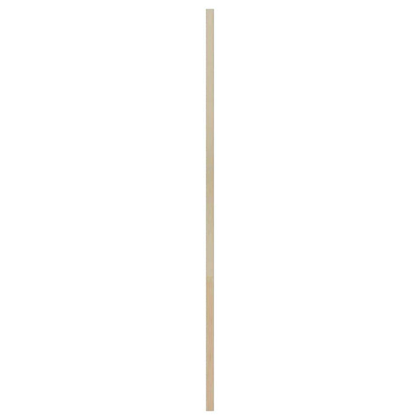 Massivholz Schranktür 2er Set Kiefer Natur