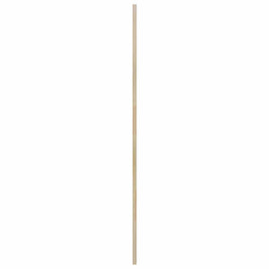 Schranktür 2er Set Kiefer Natur 49,5x140,5 cm